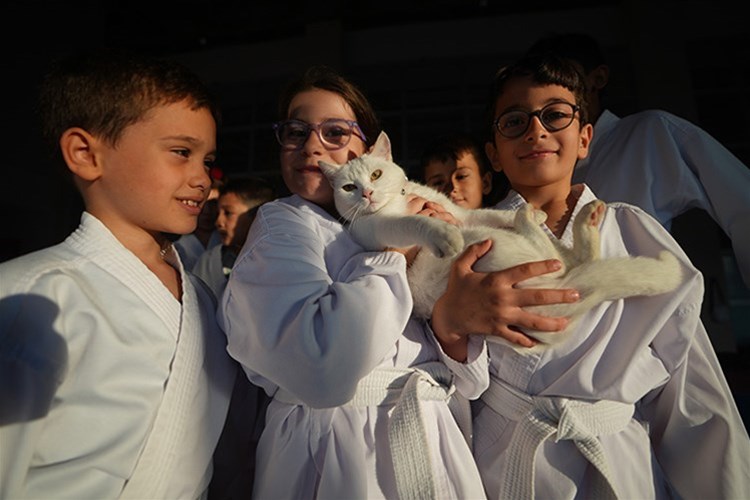 Sevimli kedi "Karate Cat" antrenmanların neşe kaynağı oldu